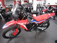 HONDA CRF300 RALLY