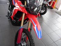 HONDA CRF300 RALLY