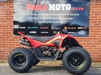 CF MOTO CFORCE 450