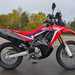 HONDA CRF250 RALLY