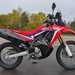 HONDA CRF250 RALLY