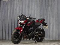 KAWASAKI Z400