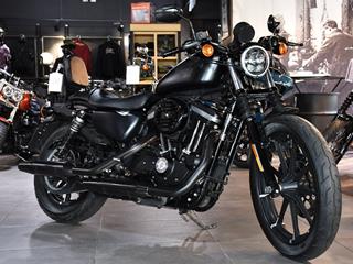 SPORTSTER 883 