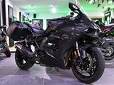 NINJA H2 SX 