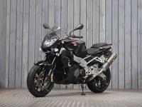 APRILIA TUONO 1000