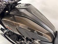 HARLEY-DAVIDSON PAN AMERICA