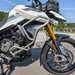 TRIUMPH TIGER 900 RALLY