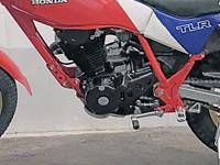 HONDA TLR200