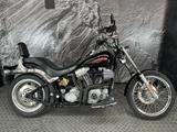 SOFTAIL 