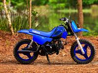 YAMAHA PW50