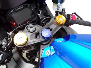 SUZUKI GSX-R1000R 