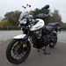 TRIUMPH TIGER 800