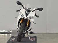 TRIUMPH DAYTONA 675