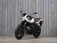 SUZUKI SV650X