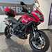 TRIUMPH TIGER 1050