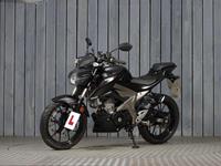 SUZUKI GSX-S125