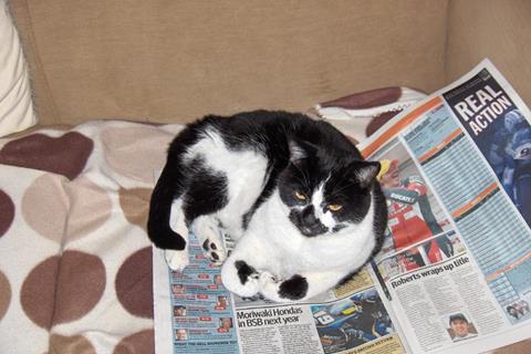 Nine out of ten cats prefer reading MCN