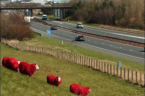 Red sheep entertain drivers