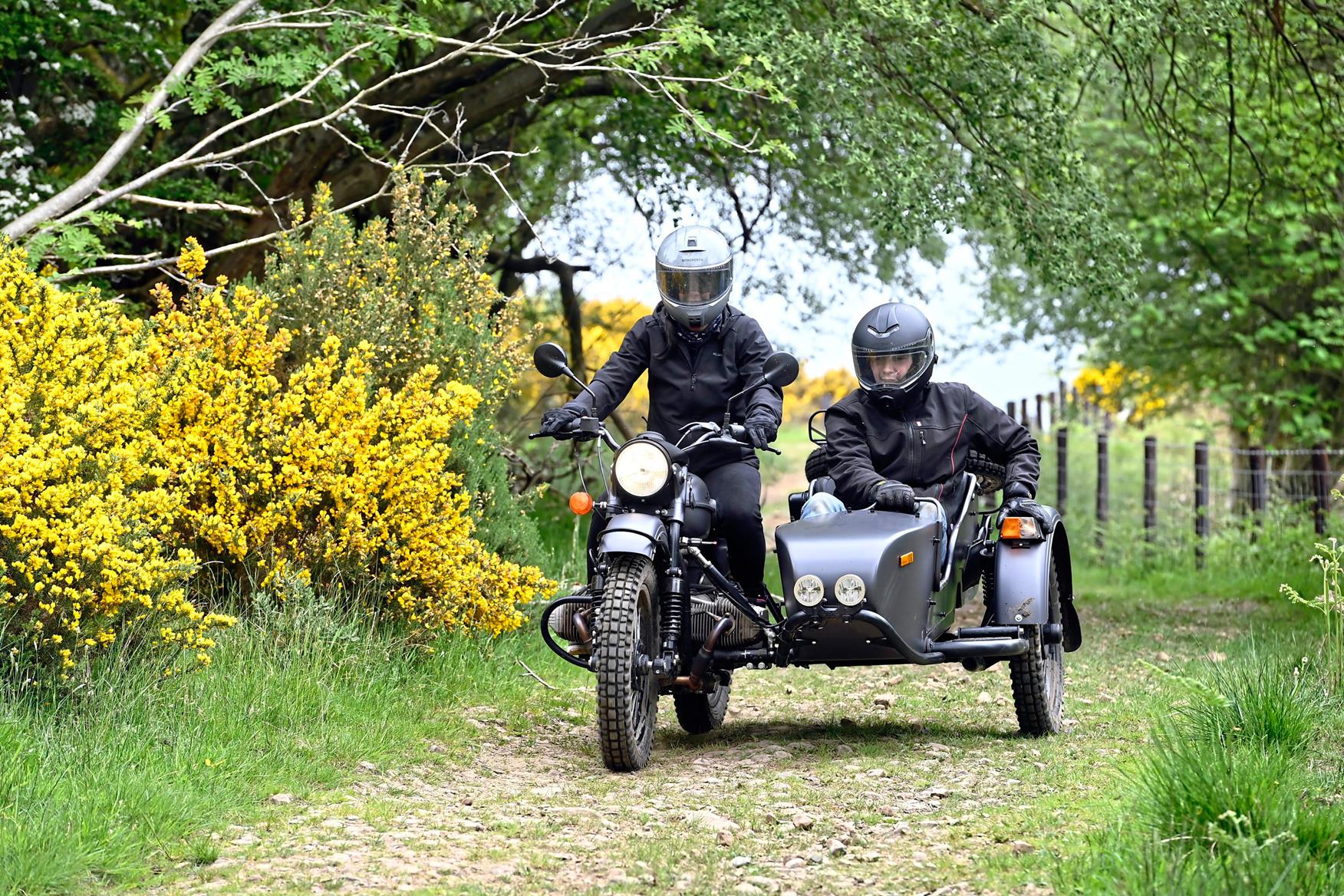 Tri bike with discount sidecar