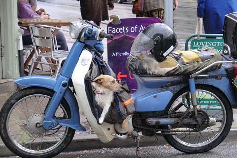 Honda Terrierist Alarm System