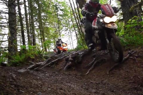 Video: Icon take the Triumph Tiger 800 off-road