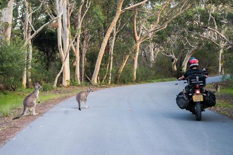 Ride the divide: Global adventurers, Andy and Alissa take on Australia’s mighty mountain range