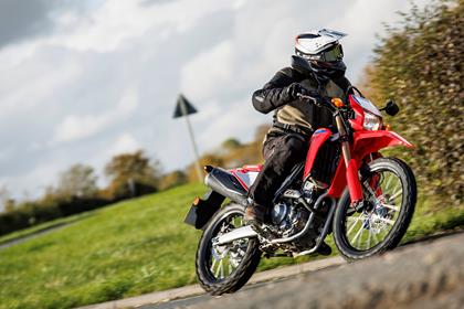 HONDA CRF300L (2021-on)