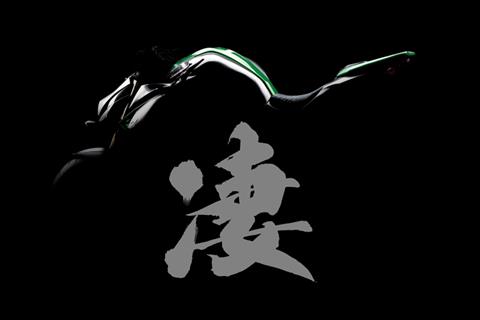 Kawasaki confirms new Z1000 for imminent release