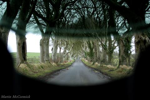 Dark Hedges