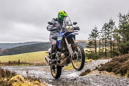 YAMAHA TENERE 700 EXTREME (2024-on)