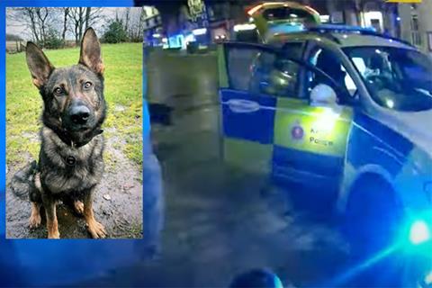 Police dog pursuit sees motorcycle thief arrested on a Monday and jailed on the Wednesday