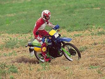 KAWASAKI KMX125 (1986-2002) review