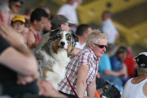 WSBK spectator with a difference