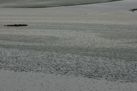 Misano MotoGP: Serious flooding ends Misano first day 