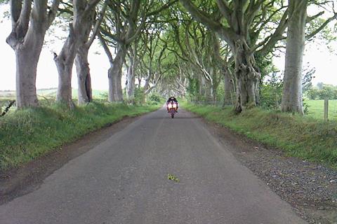 The dark hedges at the NW200