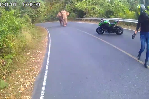 Video: The dangers of riding in Thailand