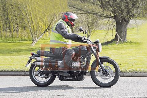 New Triumph Scrambler spied