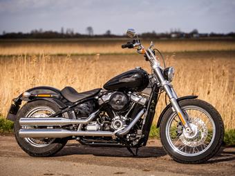 2019 softail deals standard