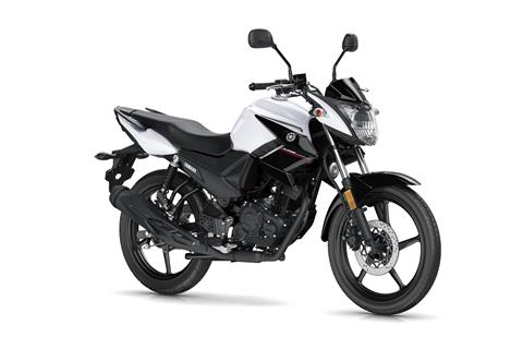 Yamaha YS125 launched: YBR125 replacement