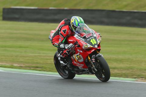 BSB: Irwin ruffles feathers on debut