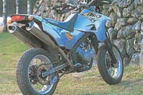 Sexy Swedish supermoto